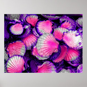 Just Shells Poster