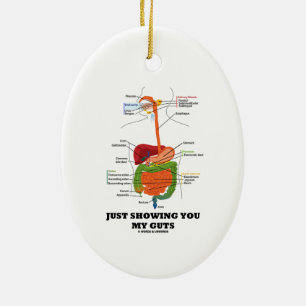 Just Showing You My Guts (Digestive System Humour) Ceramic Tree Decoration