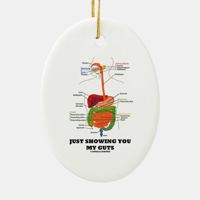 Just Showing You My Guts (Digestive System Humour) Ceramic Tree Decoration (Back)