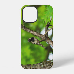 Just Sitting Around iPhone Case