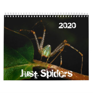 Just Spiders Calendar, 2020 Calendar