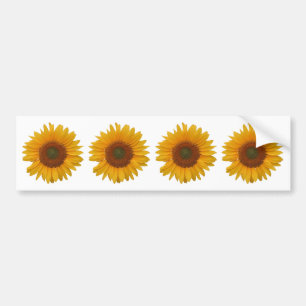 Just Sunflowers   Floral Photo Bumper Sticker