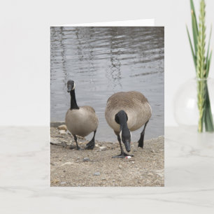 Just the Two of Us Holiday Card