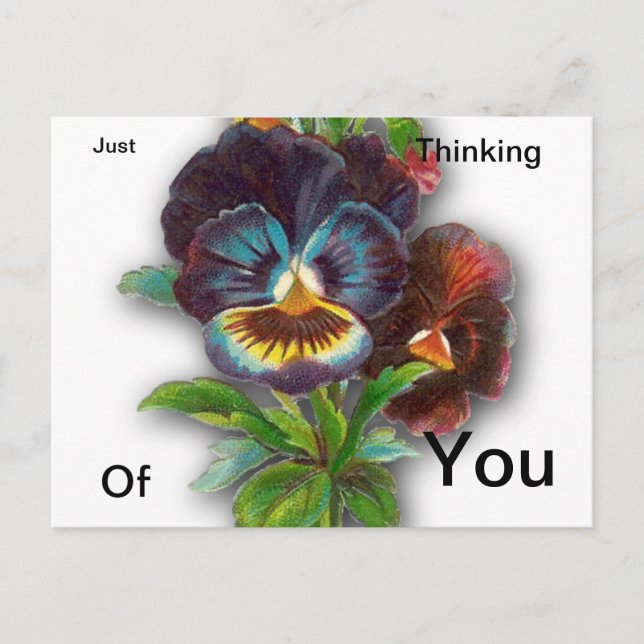 Just thinking of you postcard (Front)