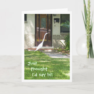 Just thought I'd say hi! Card