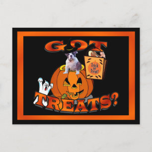 Just Too Cute Bulldog Puppy Peeking Out of Pumpkin Postcard