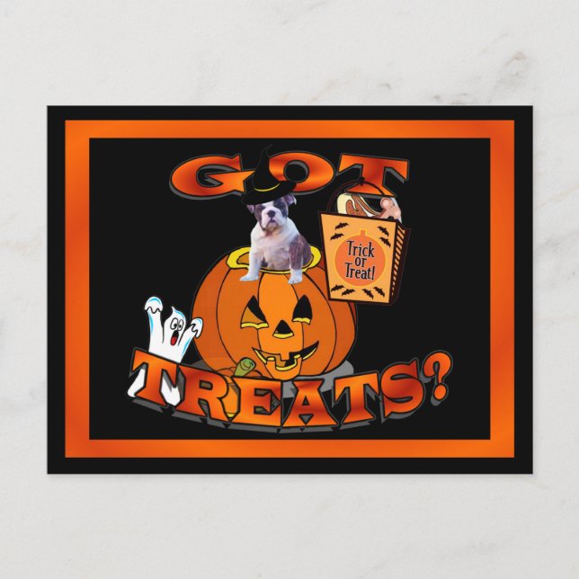 Just Too Cute Bulldog Puppy Peeking Out of Pumpkin Postcard (Front)