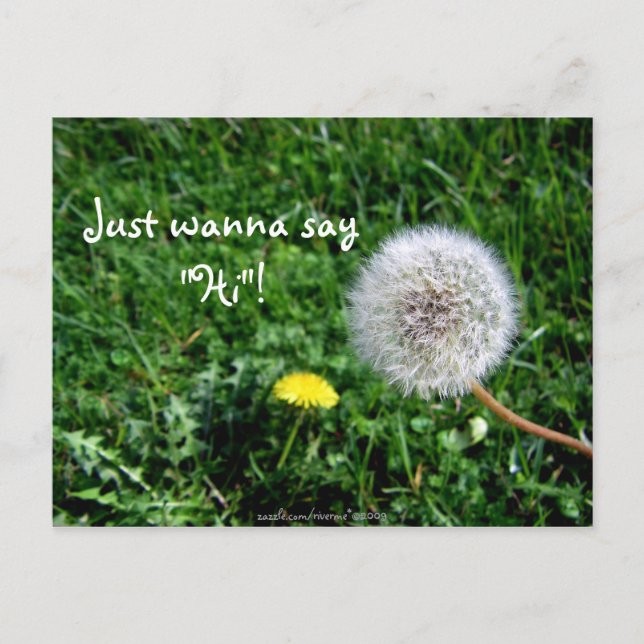 Just wanna say "Hi"! Dandelions Greetings Postcard (Front)