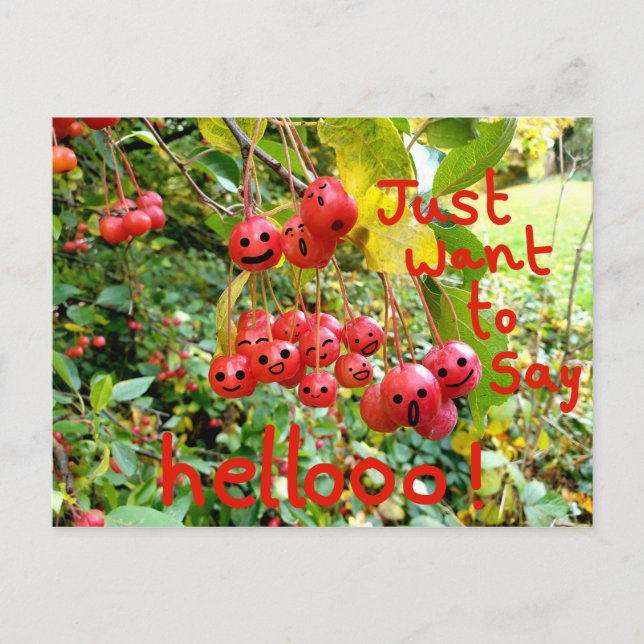 Just want to say Hellooo! Postcard (Front)