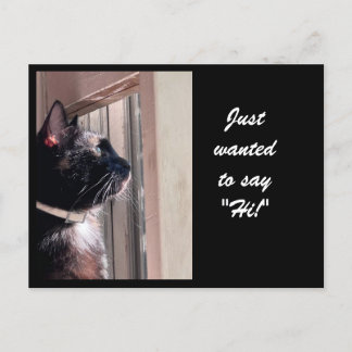 JUST WANTED TO SAY "HI!' Kitty postcard