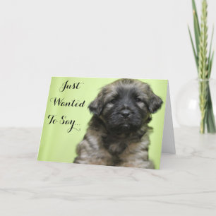 Just Wanted To Say Thank you Puppy Card