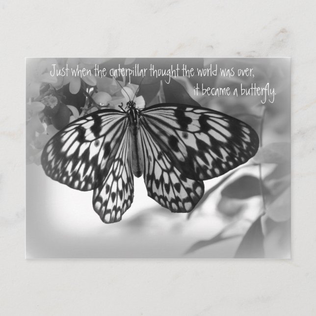 Just when the caterpillar thought the world postcard (Front)