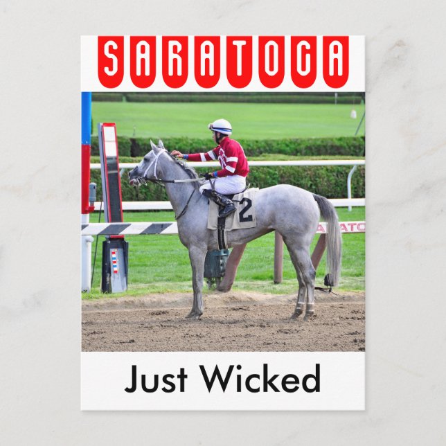 Just Wicked Reflects Postcard (Front)