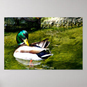 Just Wondering_ Poster