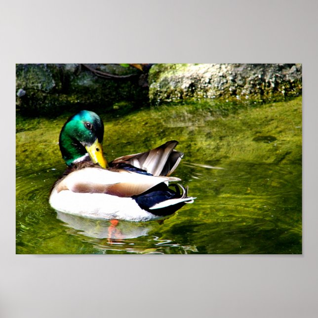 Just Wondering_ Poster (Front)