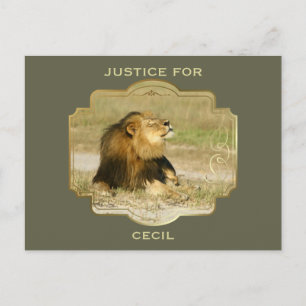 Justice for Cecil the Lion Killed in Africa Postcard