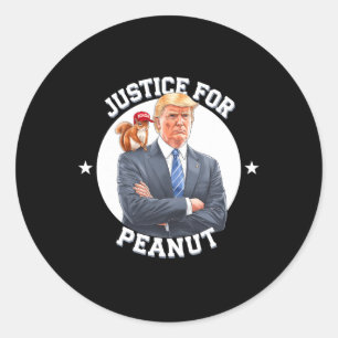 Justice For Peanut The Squirrel – Christmas Xmas S Classic Round Sticker