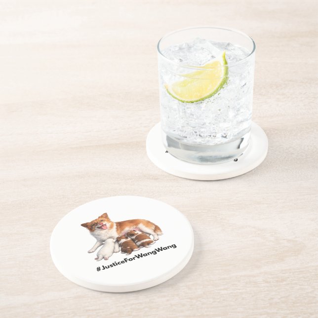 Justice for Wang Wang Coaster (Side)