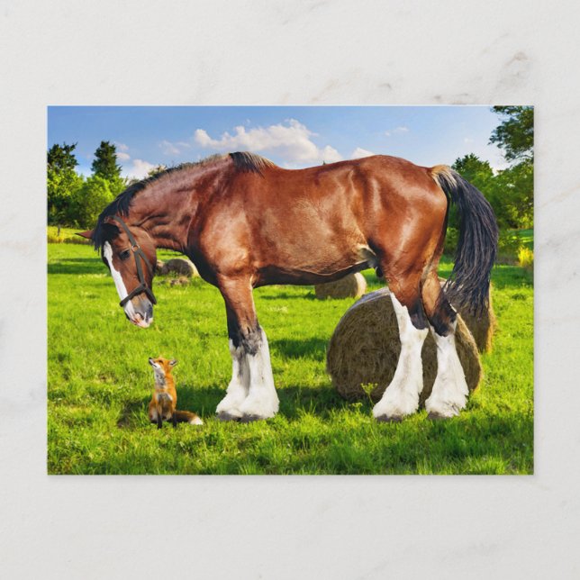 "Justin & a Friend" Postcard (Front)