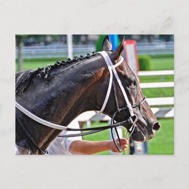 Justin Phillip captures the Vanderbilt Postcard (Front)