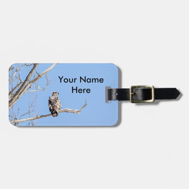 Juvenile Bald Eagle Luggage Tag (Front Horizontal)