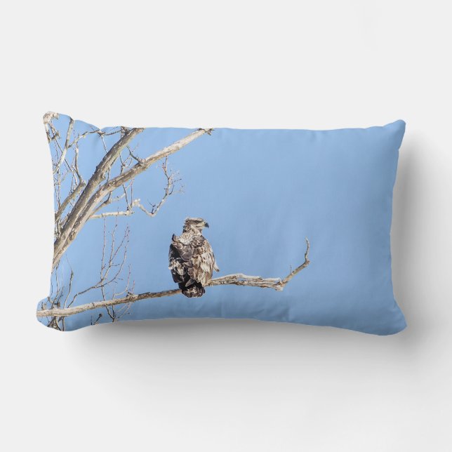 Juvenile Bald Eagle Lumbar Cushion (Front)