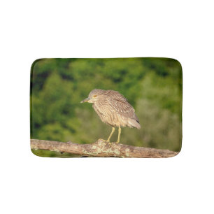 Juvenile Black Crowned Night Heron Bath Mat