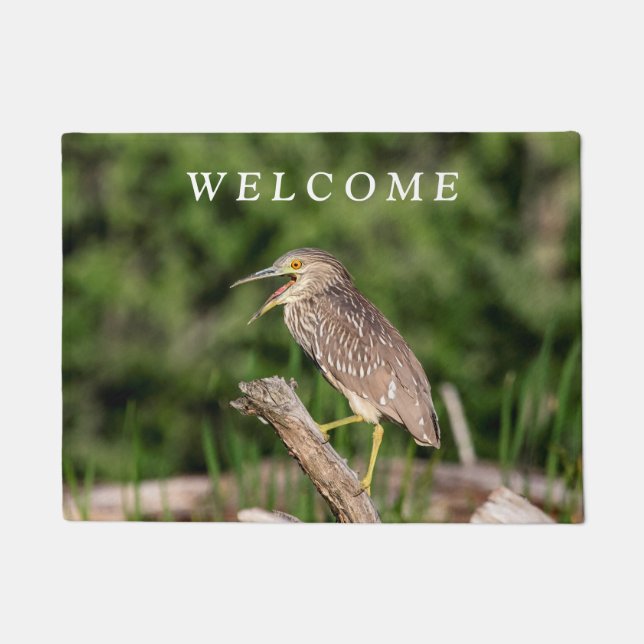 Juvenile Black Crowned Night Heron Doormat (Front)