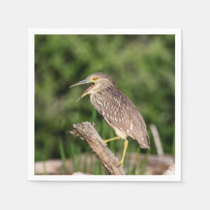 Juvenile Black Crowned Night Heron Napkin