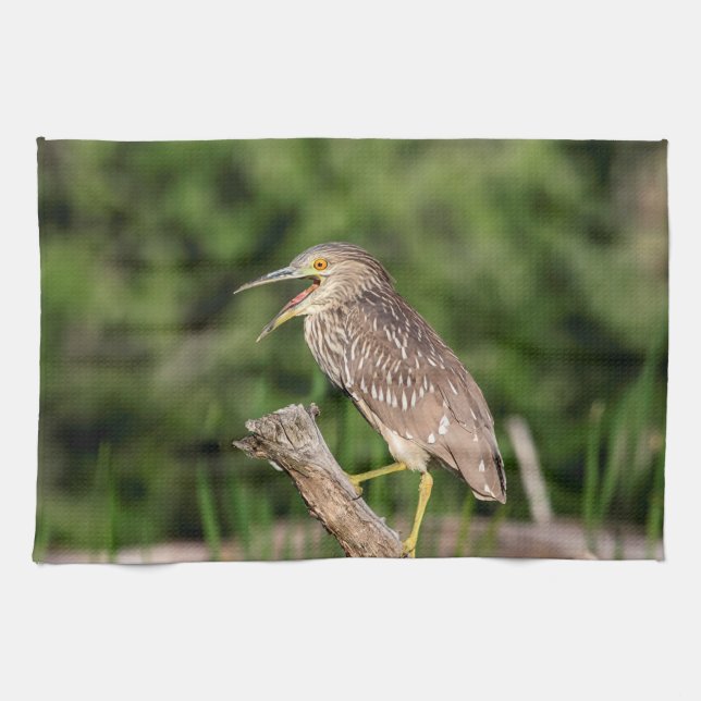 Juvenile Black Crowned Night Heron Tea Towel (Horizontal)