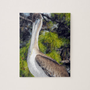 Juvenile Brown Pelican Jigsaw Puzzle