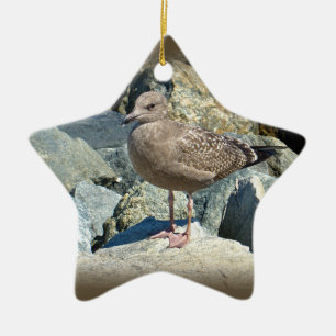 Juvenile Great Black-Backed Gull Ceramic Tree Decoration