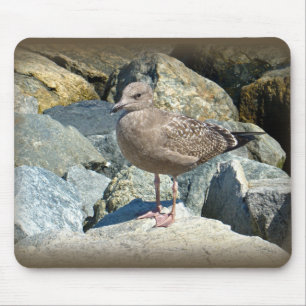Juvenile Great Black-Backed Gull Mouse Pad