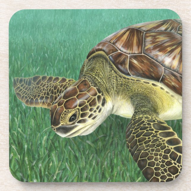 Juvenile Green Turtle Coasters (Front)