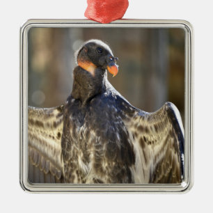 Juvenile King vulture outspread wings Metal Tree Decoration