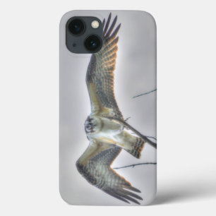 Juvenile Osprey Fish-Eagle Wildlife Photo Scene iPhone 13 Case
