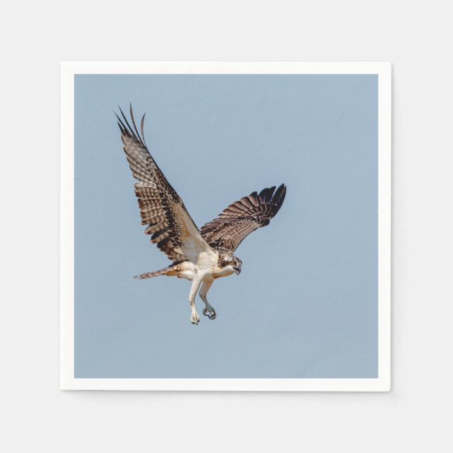 Juvenile Osprey in flight Napkin (Front)