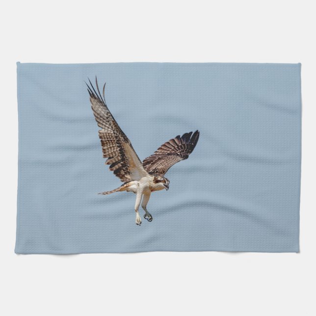 Juvenile Osprey in flight Tea Towel (Horizontal)