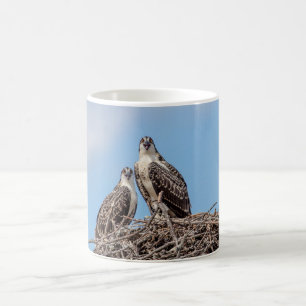Juvenile Osprey in the nest Coffee Mug