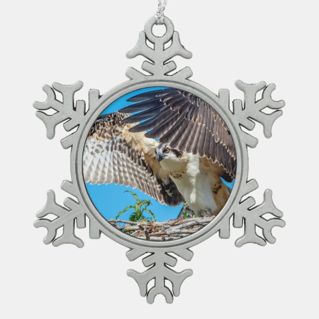 Juvenile Osprey in the nest Snowflake Pewter Christmas Ornament (Front)