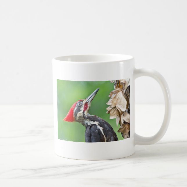Juvenile Pileated Woodpecker Profile Gifts Apparel Coffee Mug (Right)