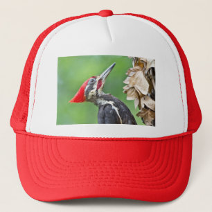 Juvenile Pileated Woodpecker Profile Gifts Apparel Trucker Hat
