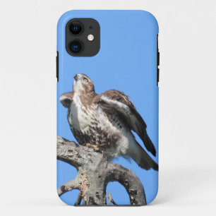 Juvenile Red Tail Hawk Case-Mate iPhone Case