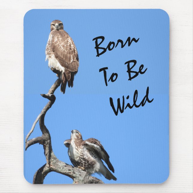 Juvenile Red Tailed Hawk composite  Mouse Pad (Front)