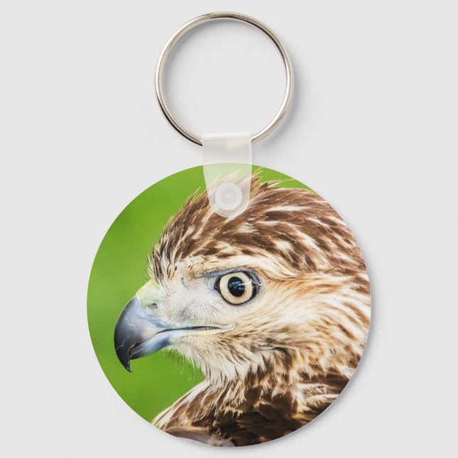Juvenile Red Tailed Hawk Key Ring (Front)