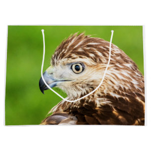 Juvenile Red Tailed Hawk Large Gift Bag