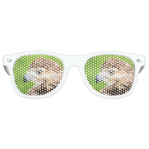 Juvenile Red Tailed Hawk Retro Sunglasses