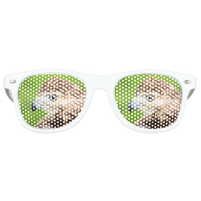 Juvenile Red Tailed Hawk Retro Sunglasses (Front)