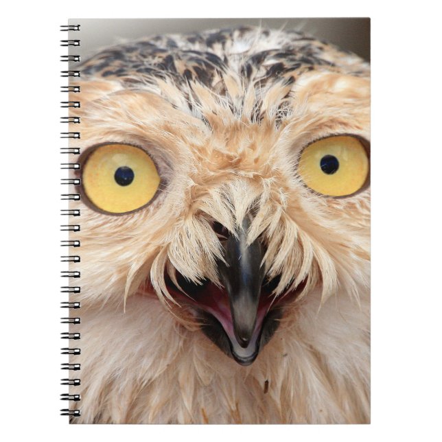 Juvenile Snowy Owl Spiral Notebook (Front)