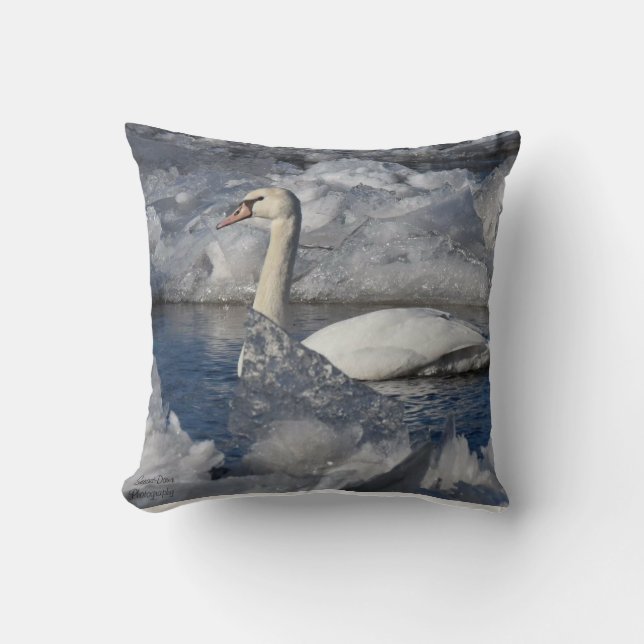 Juvenile Swan in Icey River Cushion (Front)